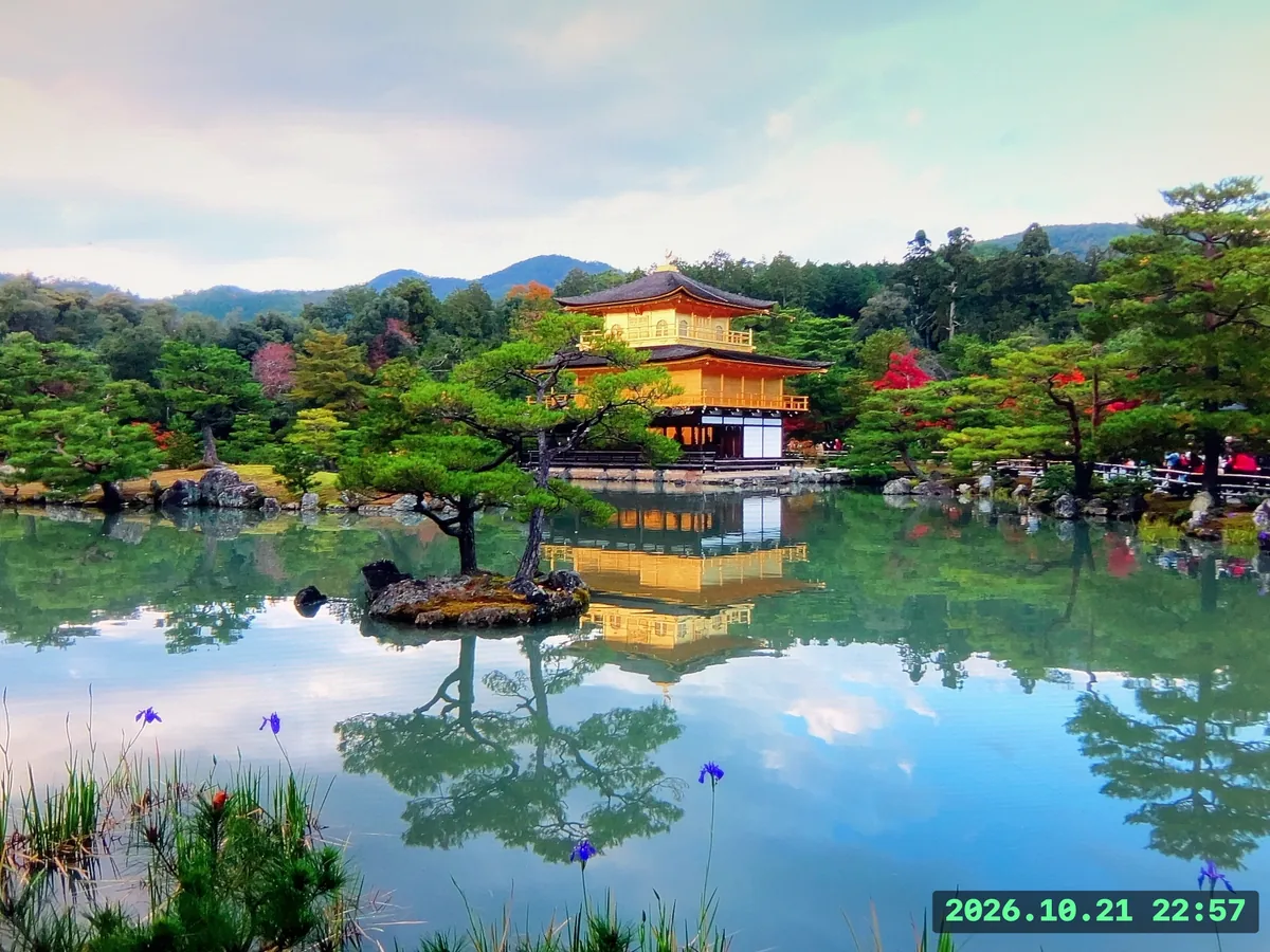 庭園を穏やかな色で